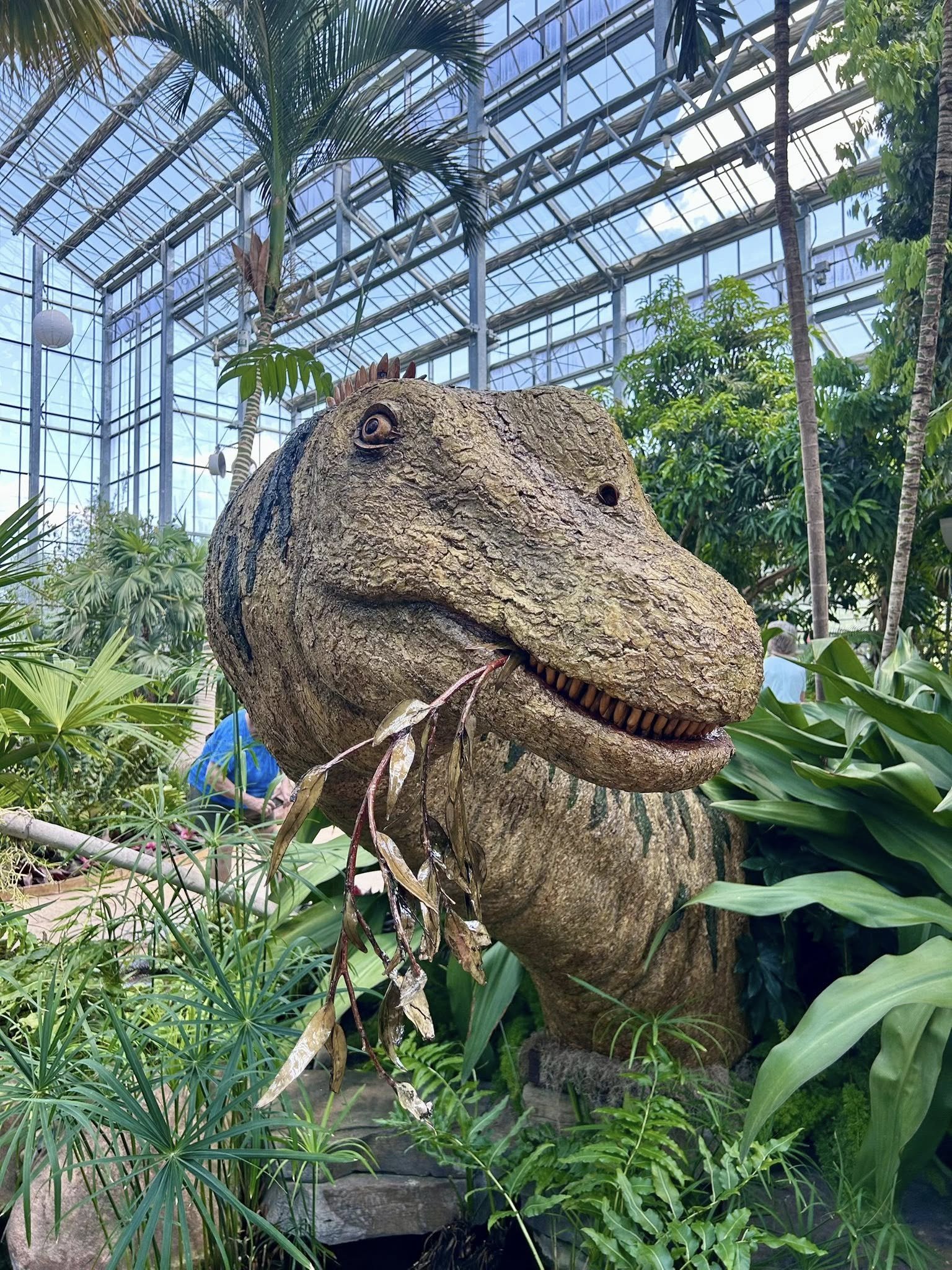 Dinosaurs — Nicholas Conservatory & Gardens